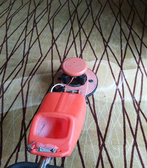 地毯清洗的技巧是什么？